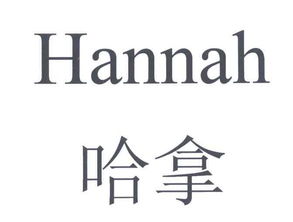 北京蓝色天空文化经纪有限责任公司 专业艺术经纪代理的引领者